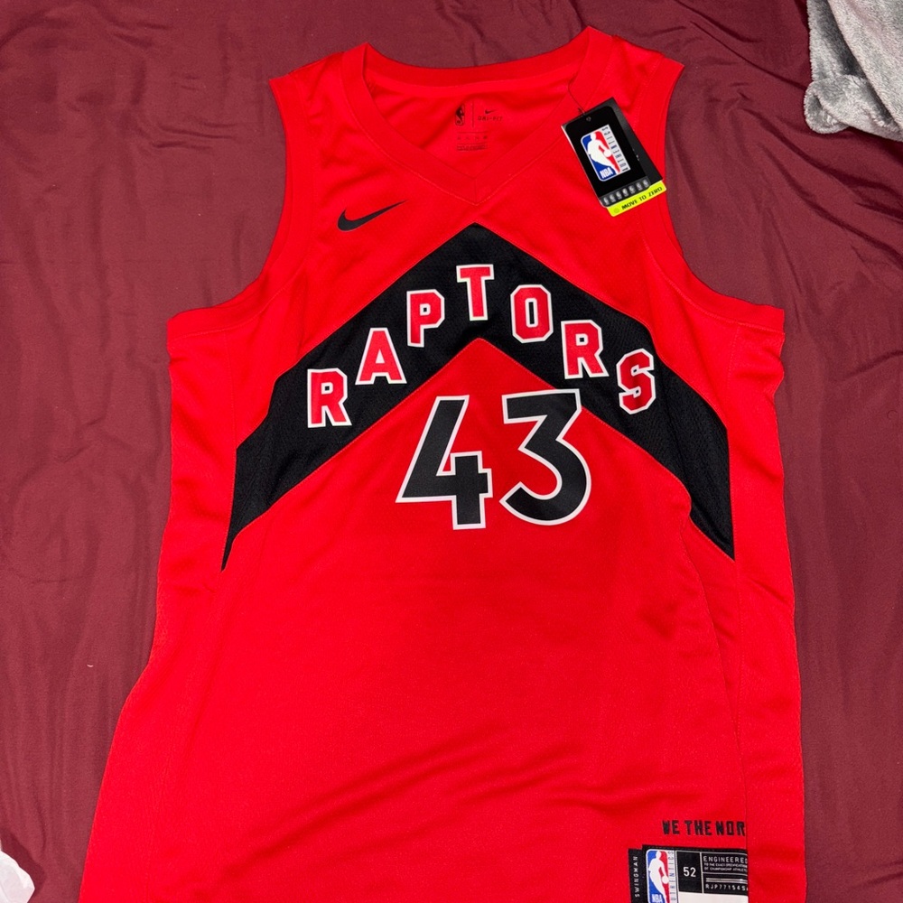 Nike Red Raptors Basketball Jersey SIAKAM